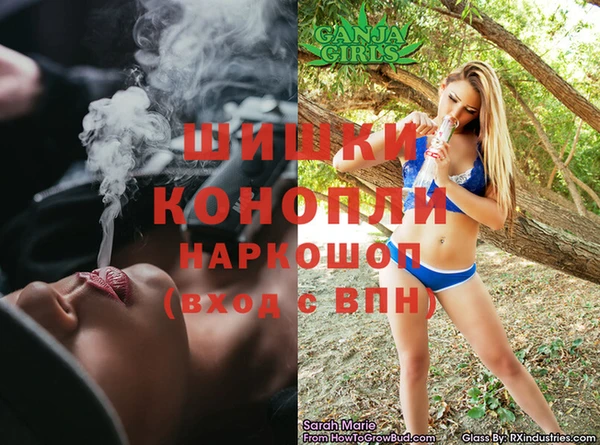 гидра Алзамай