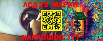 прущие грибы Ярославль