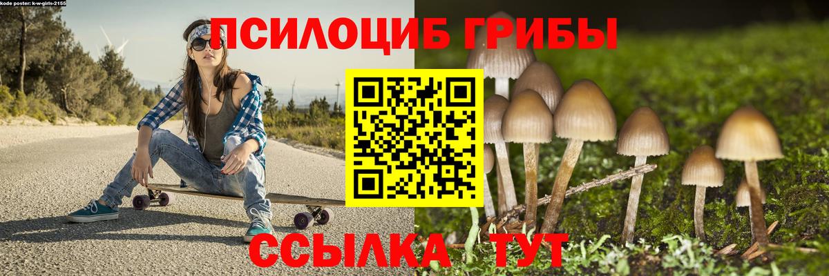 купить наркотик  Галлюциногенные грибы MAGIC MUSHROOMS  Слободской  Вход с VPN  Псилоцибиновые грибы Psilocybe 