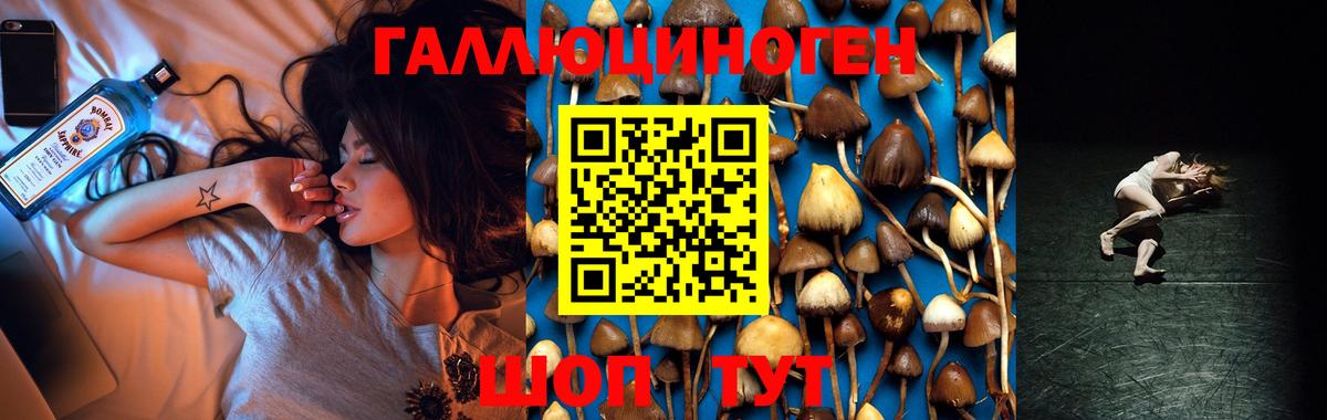 Псилоцибиновые грибы MAGIC MUSHROOMS Слободской